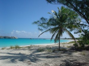 Compass Cay Beach