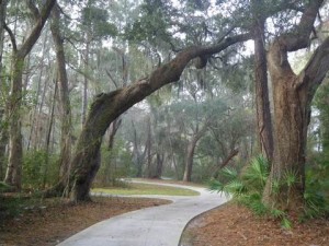 Bicycle path on Jekyll Island