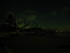 tn_IMGP0872