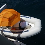 Bonnie with her head in the dinghy locker