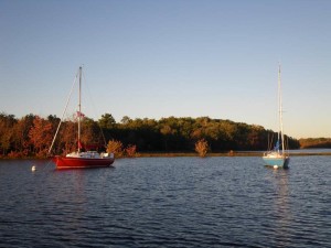 Knotty Lady and Seeker in the sunest