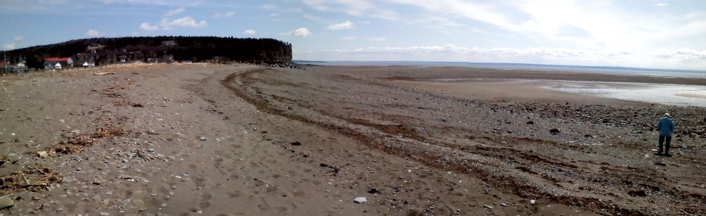 Nearly low tide 