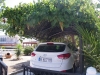 tn_02-grape-carport