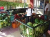 tn_03-out-veggie-shopping