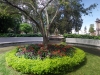 89 Gardens at Parque Morazan_thumb