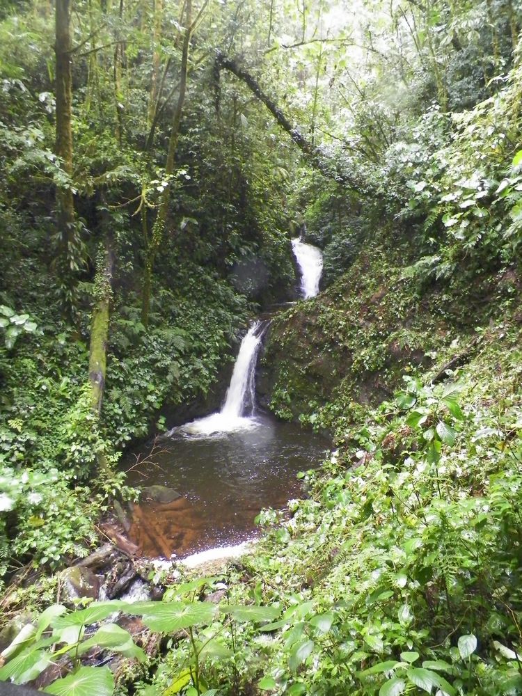 tn_268 Waterfall at Monteverde