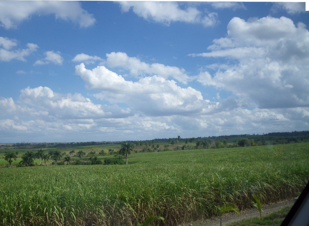 13-out-the-window-of-the-bus_thumb