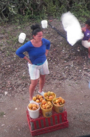 tn_330-buying-fruit