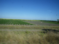 tn_536-Farming-country-on-the-road-to-Holguin