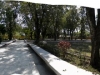 442-Nico-Lopez-museo_thumb
