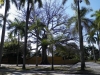 tn_443-Nico-Lopez-museo