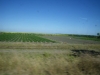 tn_536-Farming-country-on-the-road-to-Holguin