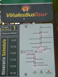 tn_26a the bus route map