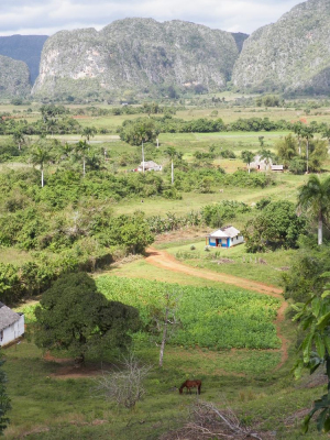 tn_37 Vinales valley