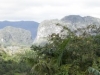 35 Road from Jasmine_thumb