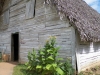 tn_76 tobacco house